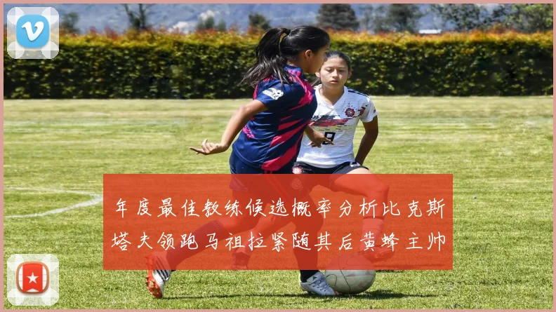 年度最佳教练候选概率分析比克斯塔夫领跑马祖拉紧随其后黄蜂主帅表现不佳